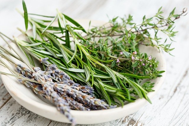 plantes_aromatiques