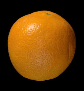 pores dilatés 2