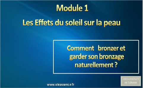 Comment Bronzer Module 1