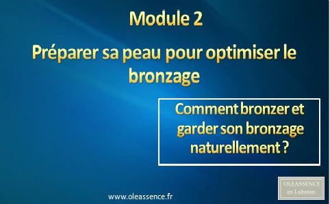 Comment Bronzer Module 2