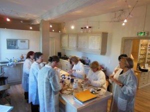 Formation Cosmétique Octobre 2013
