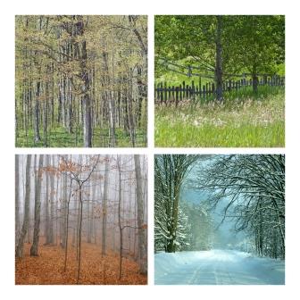 Influence des saisons sur la peau