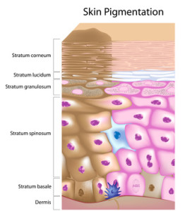 Produit solaire et pigmentation