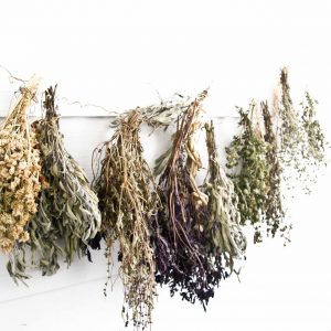 Herbes Sechees Tisane herbes séchées