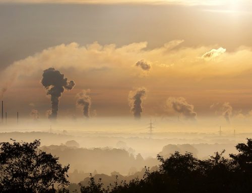 Protégez naturellement votre peau des effets catastrophiques de la pollution