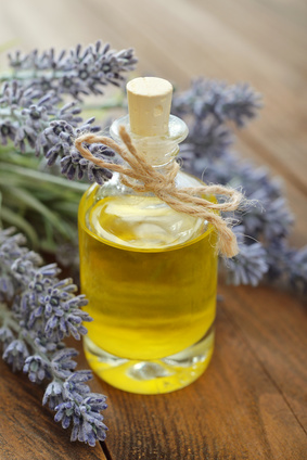 Essential lavender oil with fresh flowers on wooden background closeup