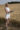 Femme aux jambes à la peau douce