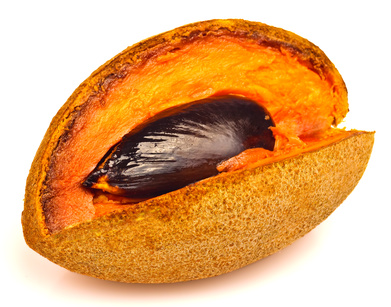 Huile de sapote