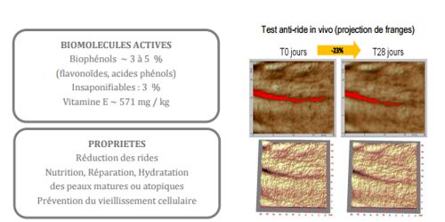 Test sur L'Oléoactif BIO PROPOLIS