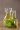 Plusieurs flacons d'huiles