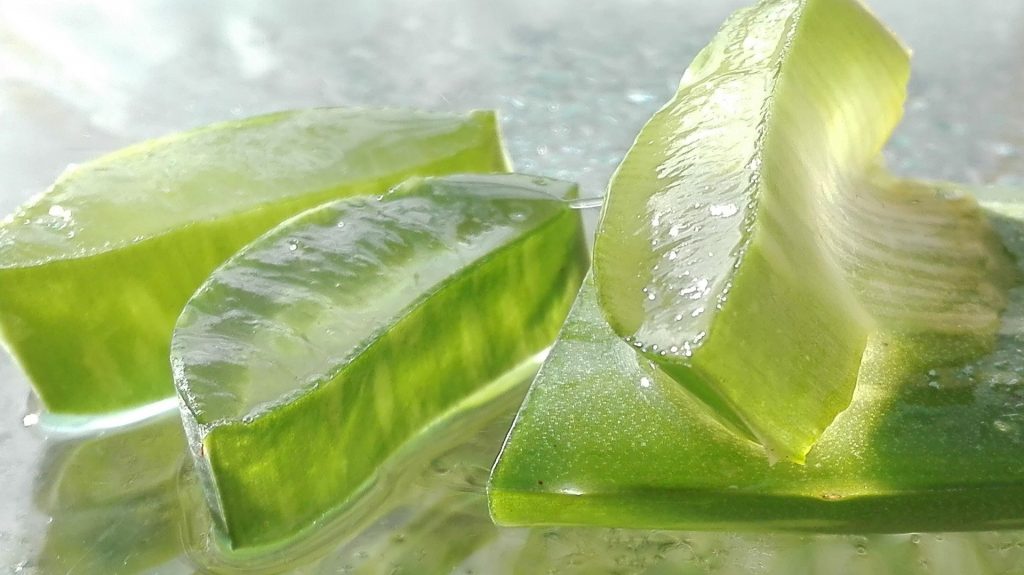 feuille d'aloe vera