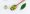 huile_avocat