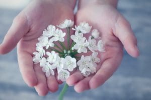 fleurs tenues entre les mains