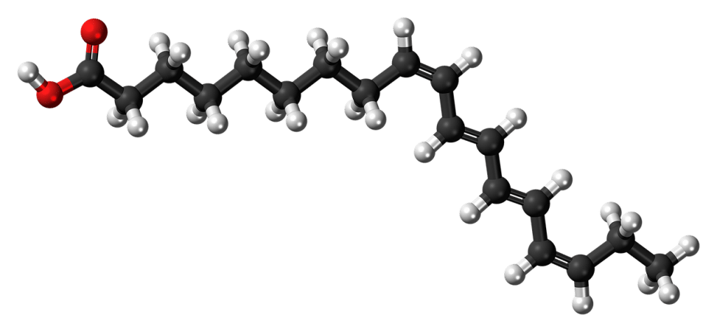 Molécule d'acide gras