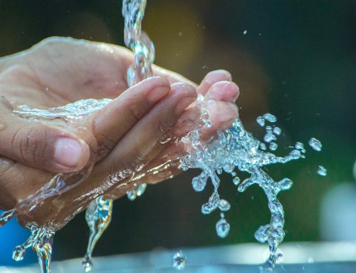 L’eau : cet élément vital au sein de notre organisme !
