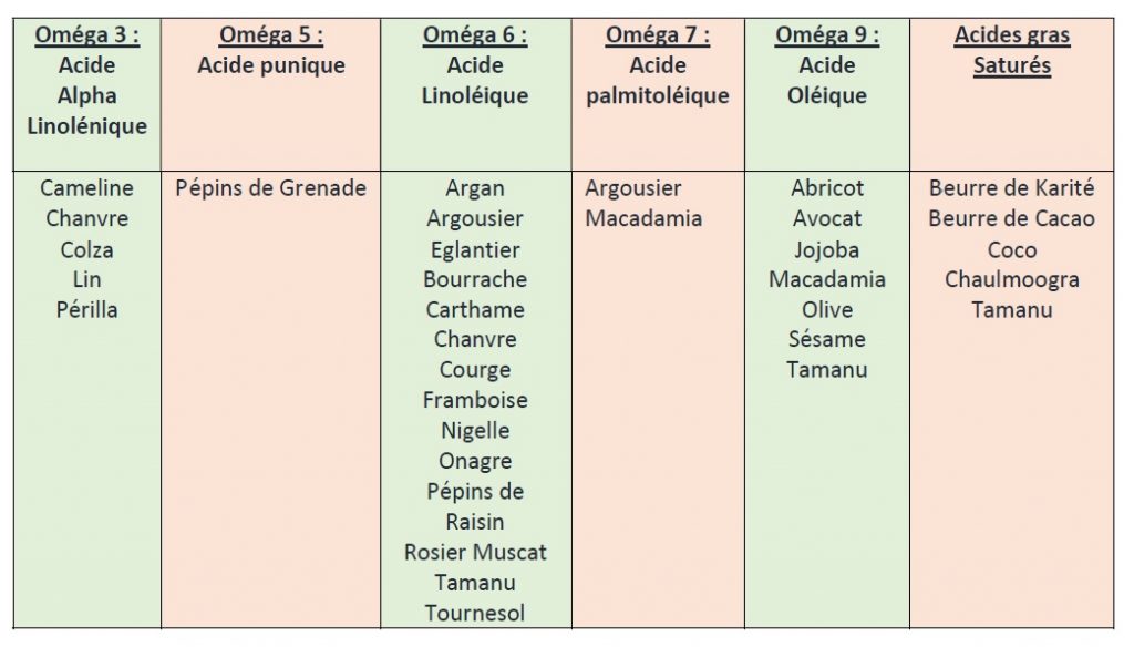 DES HUILES ET DES GRAISSES VÉGÉTALES DE QUALITÉ SUPÉRIEURE - Reinartz