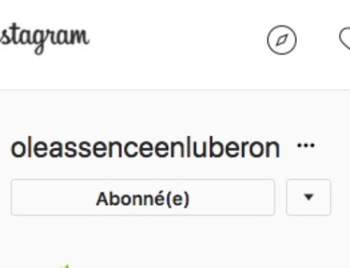 Et si vous rejoigniez Oleassence sur Instagram ?